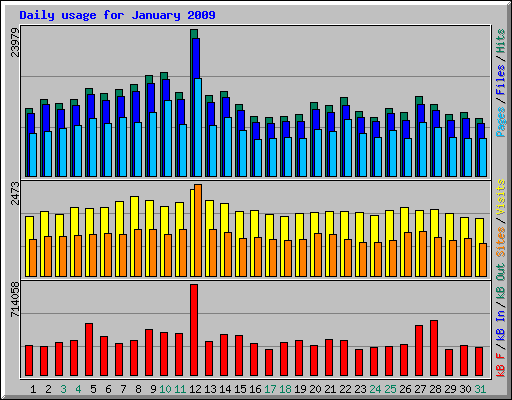 Daily usage for January 2009