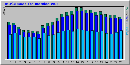 Hourly usage for December 2008