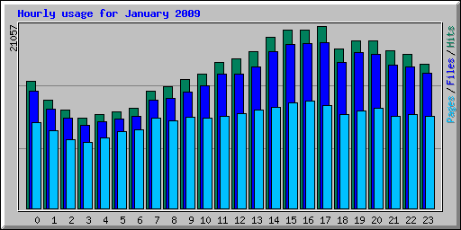 Hourly usage for January 2009